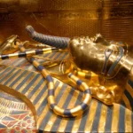 Gallery Thumbnail 5